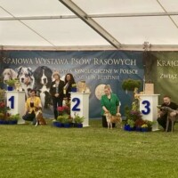 BOG II -Gniazdów, 2024-05-17