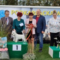 Puppy Best In Show 2 | 29.09.2024, Krosno