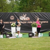 Best In Show Minor Puppy 3 | 3.05.2024, Wrocław