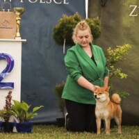 BOG II -Gniazdów, 2024-05-17