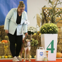 Best Of Group 4 | 20.10.2024, Zakrzów