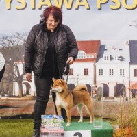 Best Of Group 3 | 29.09.2024, Krosno