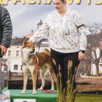 Best Of Group 2 | 29.09.2024, Krosno