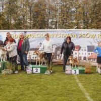 Best Of Group 2 | 29.09.2024, Krosno