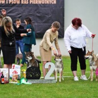 Najlepszy Reproduktor lok.2